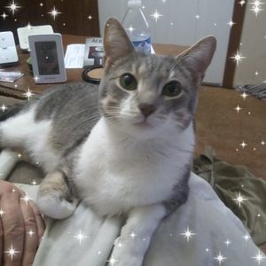 Meet your Posher, Sunrise